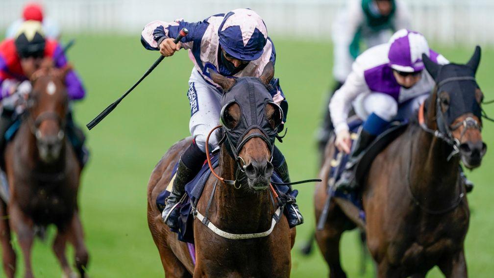 Coeur De Lion: won the Ascot Stakes at the royal meeting last year