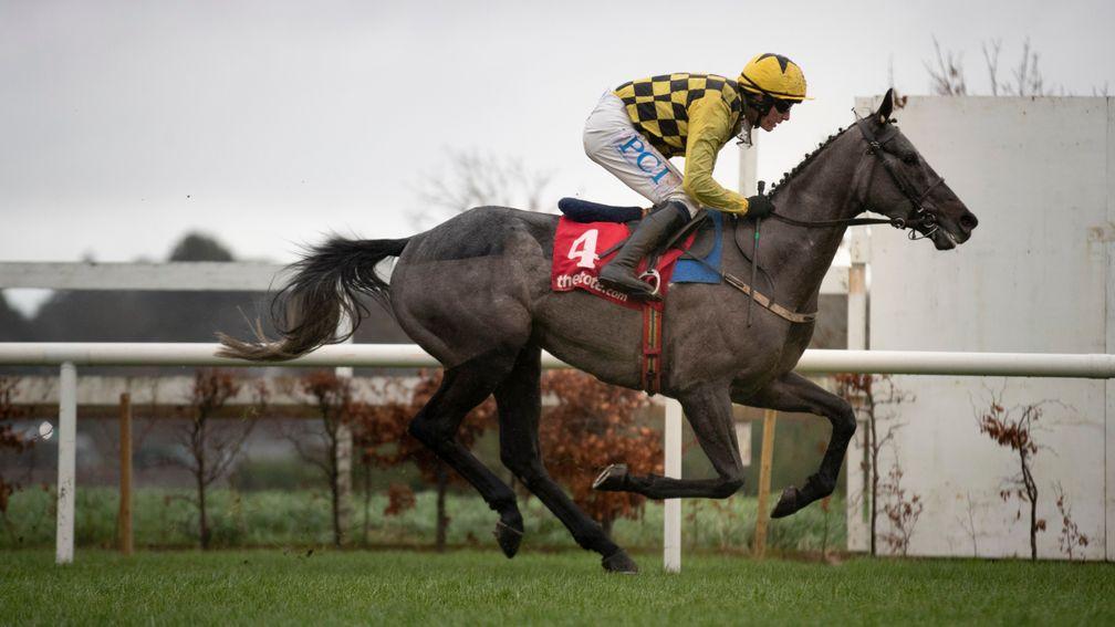 Gaillard Du Mesnil and Paul Townend land the 2m4f maiden hurdle at Leopardstown