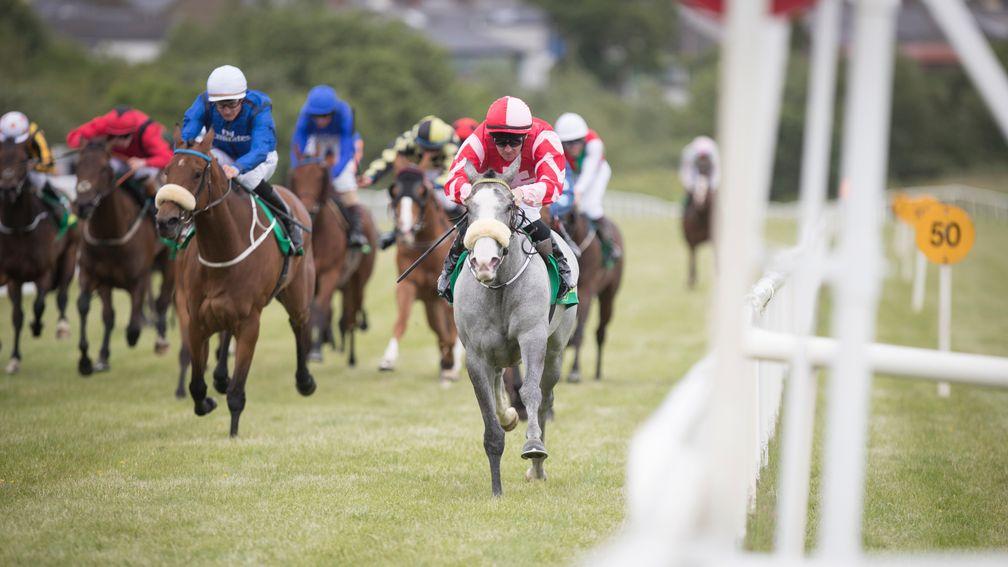 Elusive Duchess (grey) won at odds of 33-1 on debut at Listowel