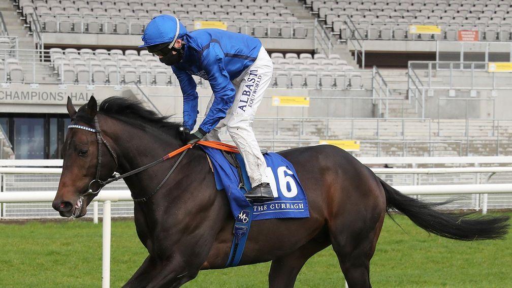 Safecracker: Godolphin's last remaining horse trained in Ireland will run at Gowran Park on Wednesday