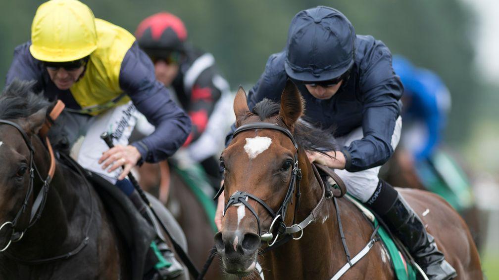 Gustav Klimt is the headline horse on a day of Group action at Newbury