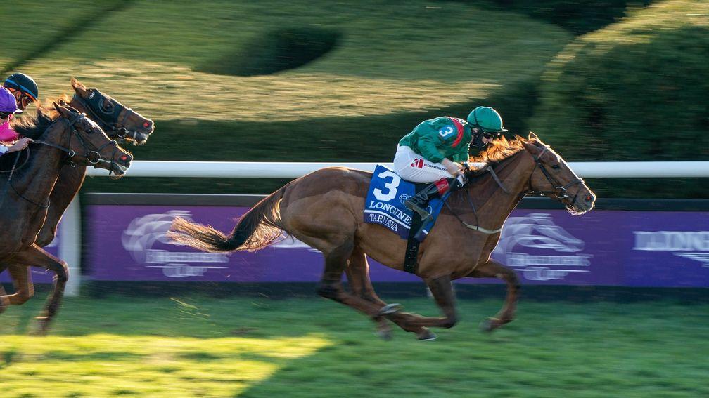 Tarnawa flashes home for Colin Keane in the Breeders' Cup Turf