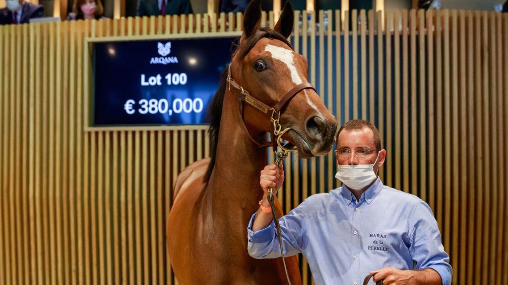 Lot 100, a Galileo daughter of Falmouth Stakes heroine Giofra, sold for €380,000 on day one of the Arqana select sale