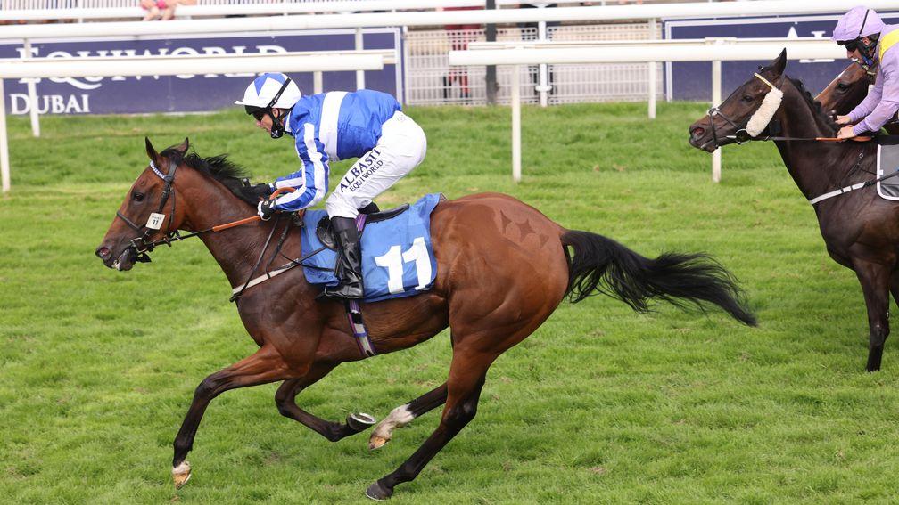 Winter Power: one of 17 confirmations for the Nunthorpe