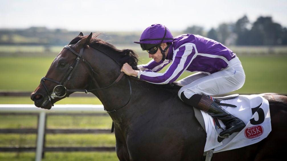 Ten Sovereigns and Donnacha O'Brien race away with the Round Tower Stakes