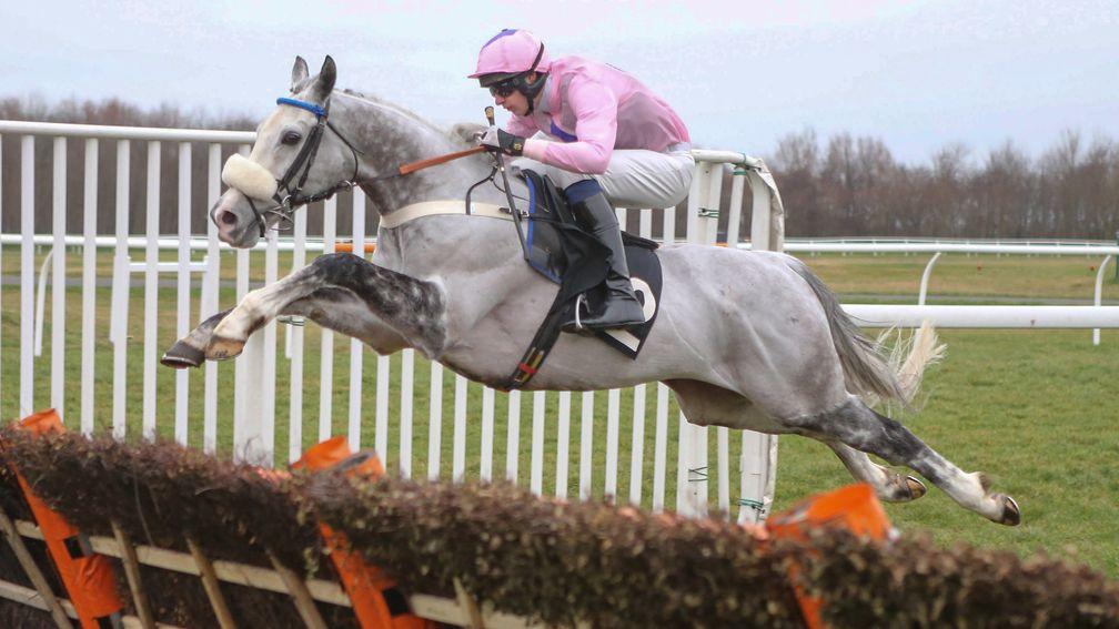 Danceintothelight: fancied to win the amateur riders' hurdle at Catterick for the third time