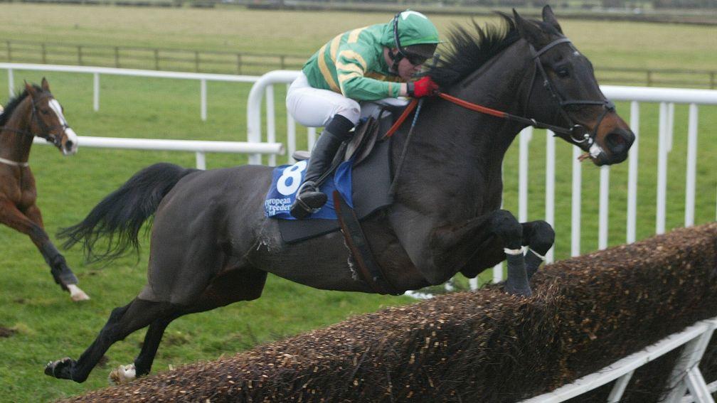 Le Coudray: top-class performer over hurdles and chases