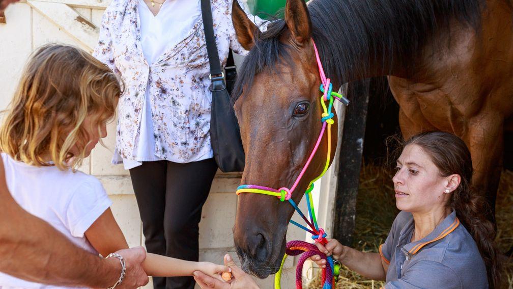A young fan meets Cirrus Des Aigles during a charity event for Au-Dela Des Pistes, French racing's charity for the retraining and aftercare of retired racehorses