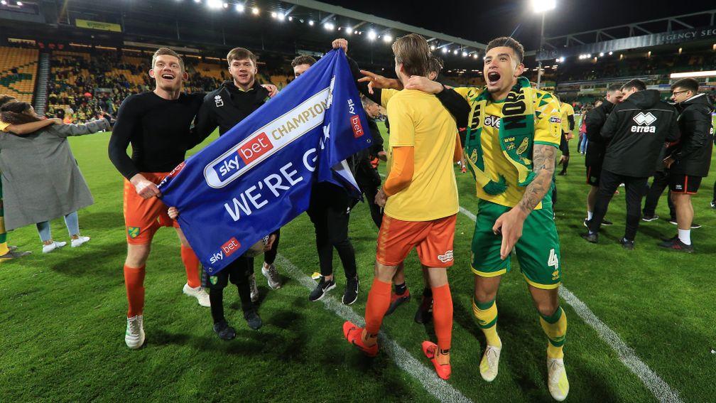 Norwich City players celebrate their Premier League promotion