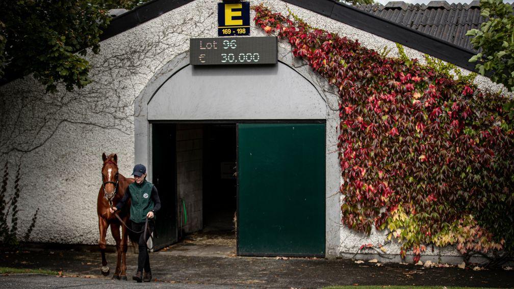 Tattersalls Ireland will not be able to open its doors in April