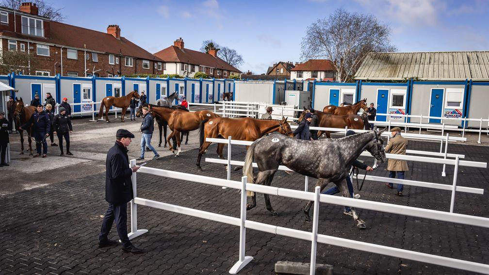 The Goffs UK Aintree Sale gets under way on Thursday after racing