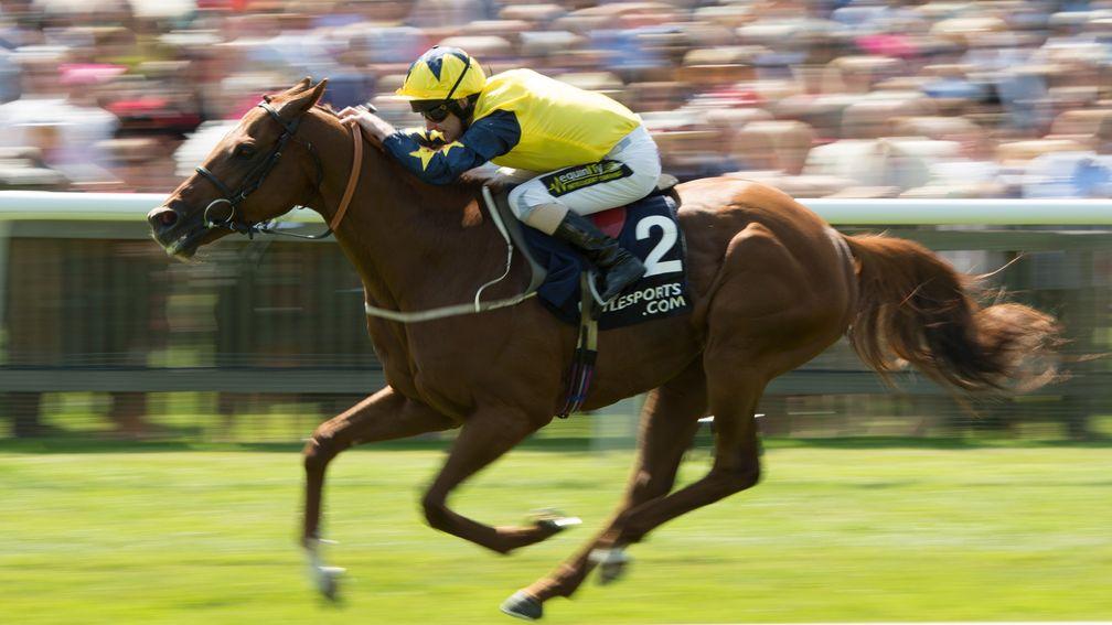 Universal won the Princess Of Wales's Stakes at Newmarket in 2013