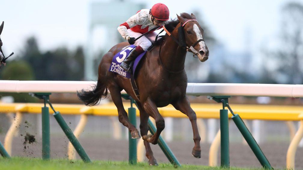 Suave Richard: powered home to win the Japan Cup