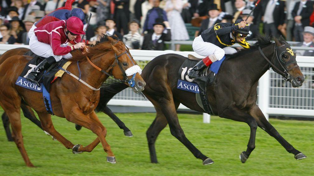 Where it all began: Strike The Tiger and Johnny Velazquez win the 2009 Windsor Castle Stakes from Fratellino