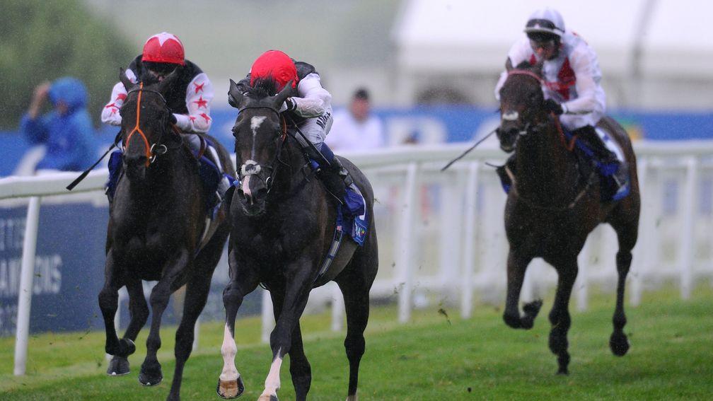 Glatisant's stakes-winning daughter Belle D'Or (centre) is carrying on the line for Anthony Oppenheimer