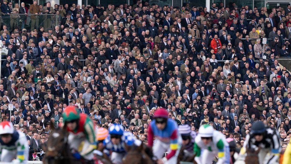 Cheltenham: has operated as a 'cashless' venue this year