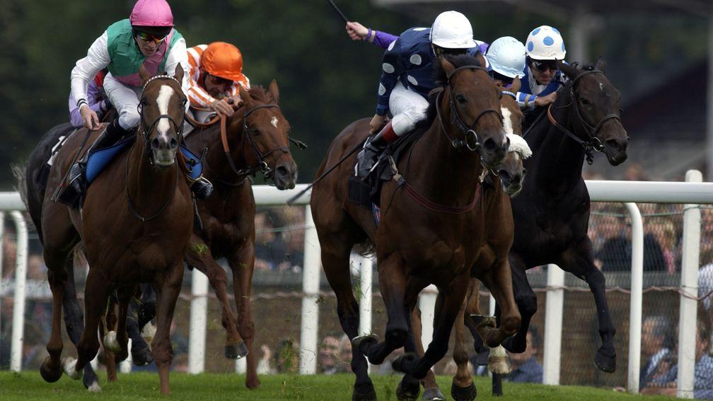 Acclamation carries John Boswell's dark blue and white silks to victory in the 2003 Diadem Stakes