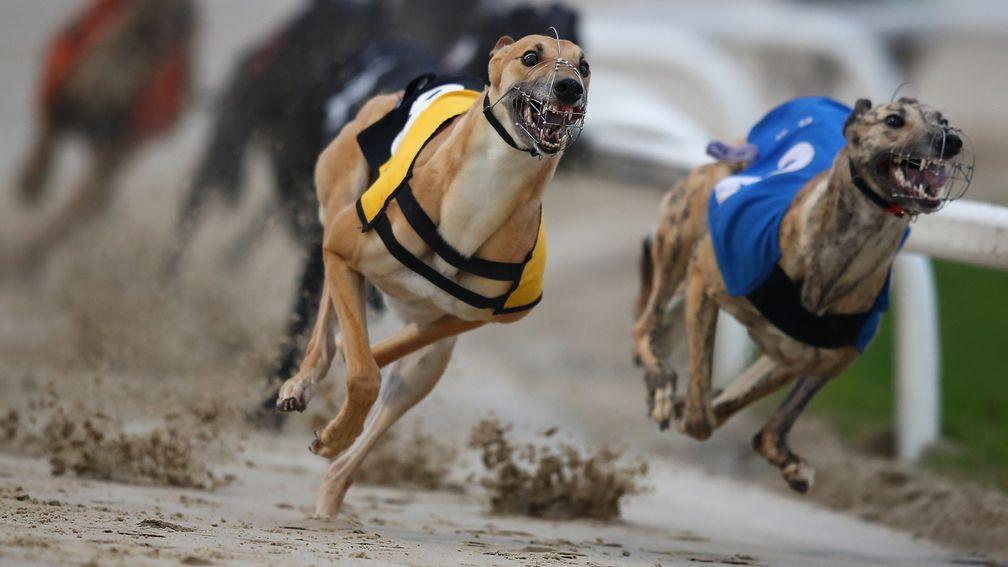 Mildenhall has joined the growing list of former greyhound tracks