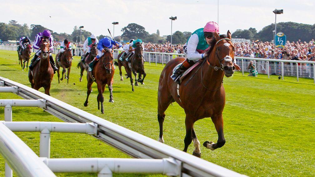 Frankel wins the 2012 Juddmonte International in a four-year-old campaign that took him to new heights