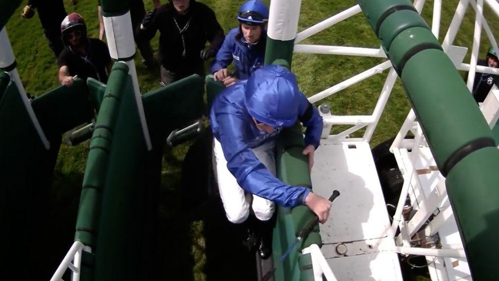 William Buick is left in the stalls when his mount Blue Trail goes with the field when the gates open