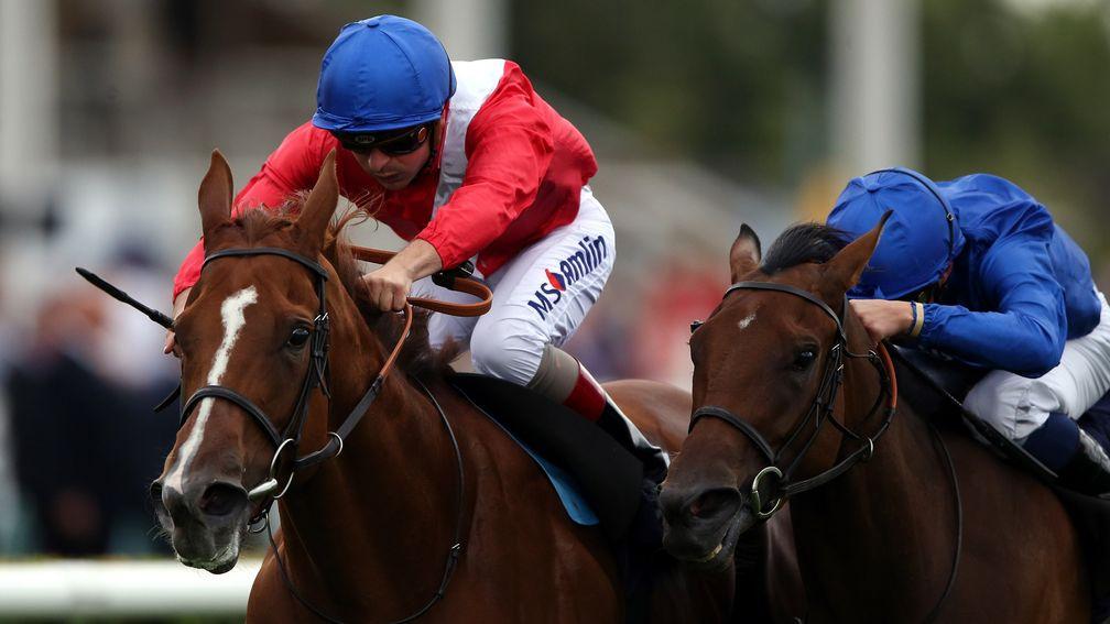 Spangled: Sceptre Stakes winner will be covered by Night Of Thunder