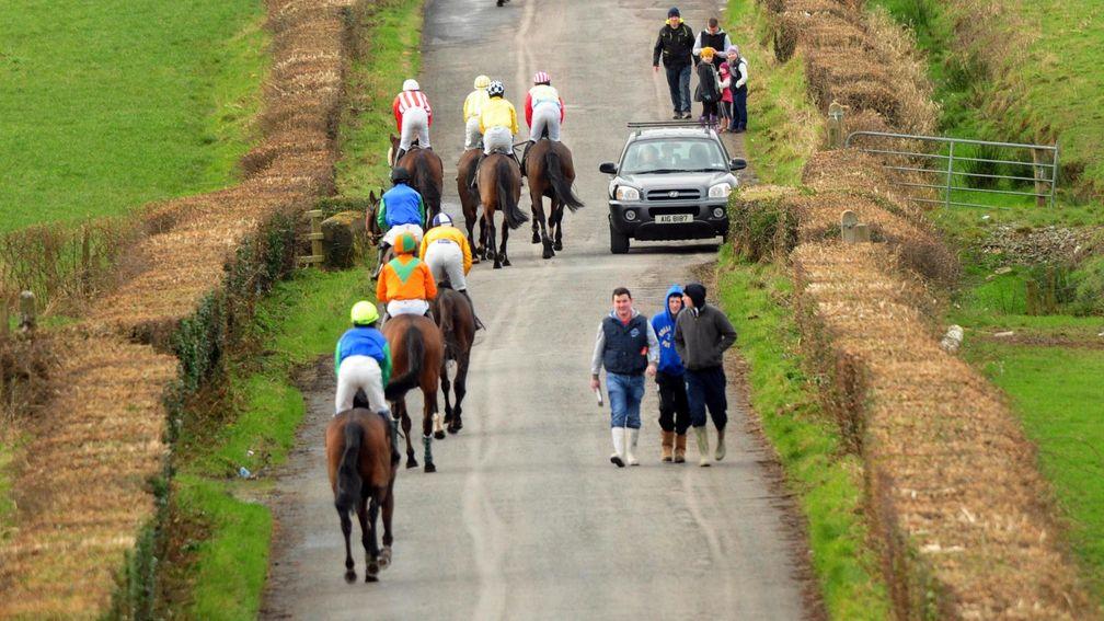 Beware oncoming traffic: The Healy Racing photographer captures the unique situation as runners head to the start at Farmacaffley point-to-point in Armagh