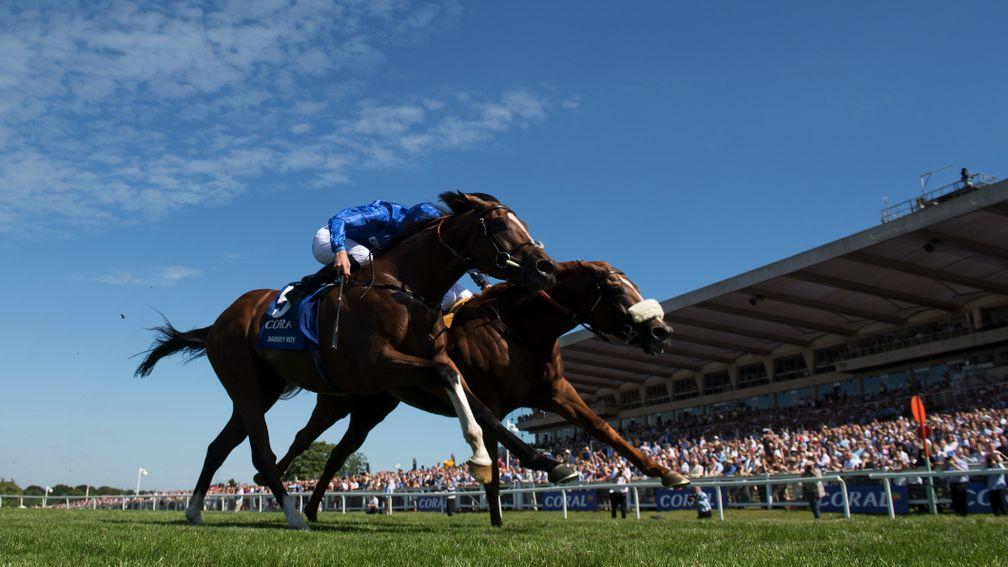 Thriller: Ulysses (noseband) just edges out Barney Roy in a titanic tussle in the Coral-Eclipse