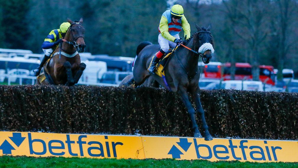Doing Fine: first past the post in the voided Betfair London National