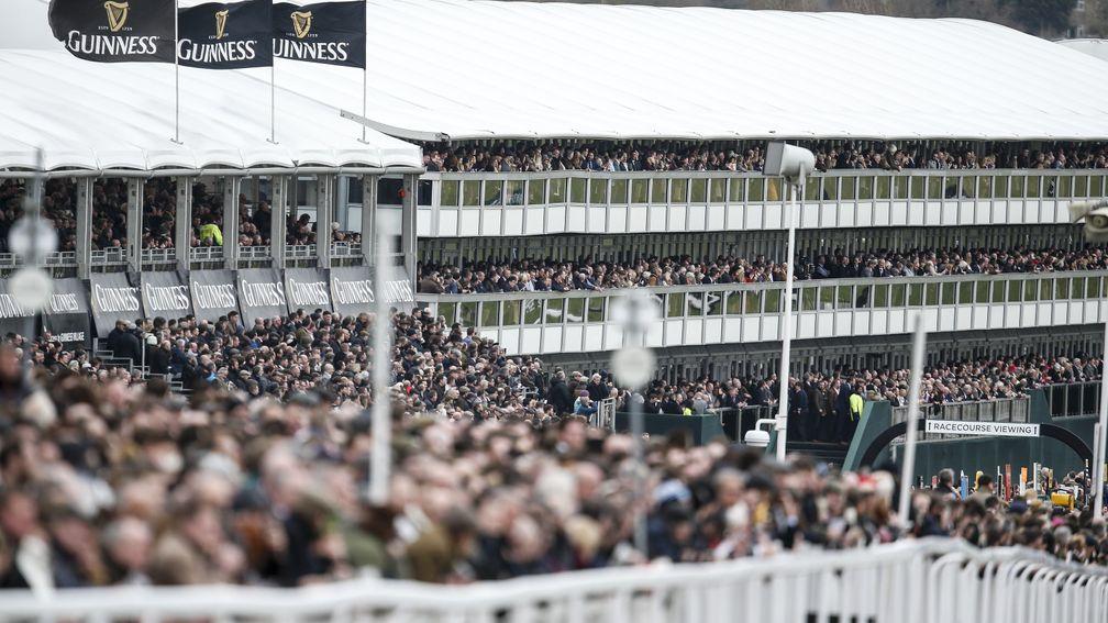The Cheltenham Festival: subject of a wide-ranging review following the fatalities at this year's meeting