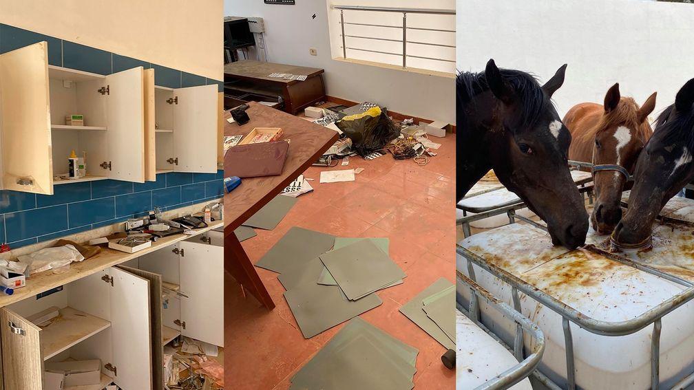 Images from the ransacked stud near Tripoli; Al Shaab staff continue to search for missing horses