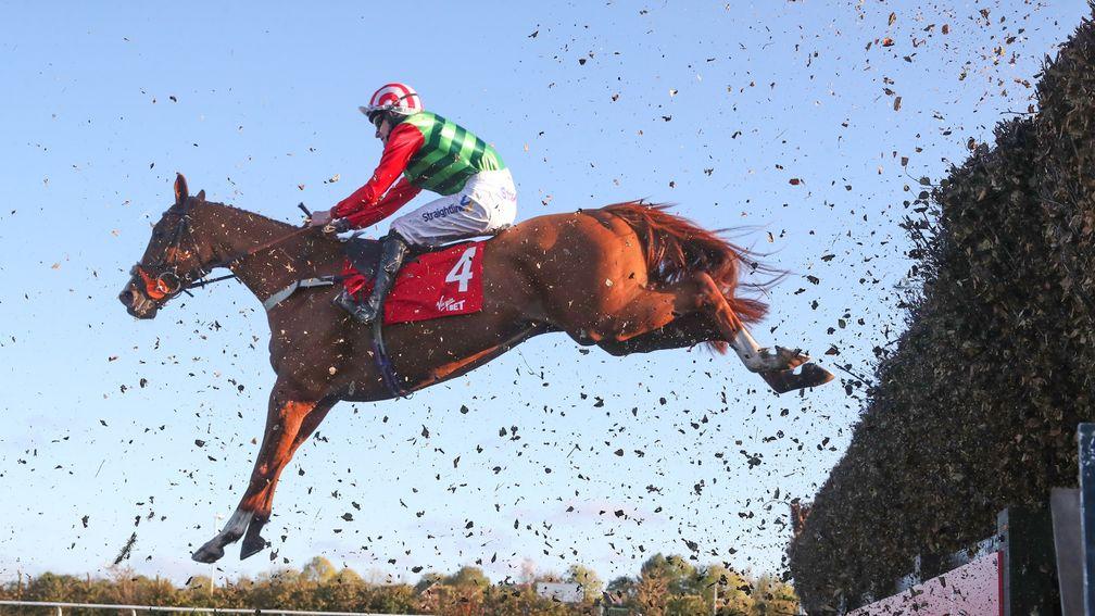 Forest Bihan: set to bid for back-to-back wins in the Old Roan Chase at Aintree