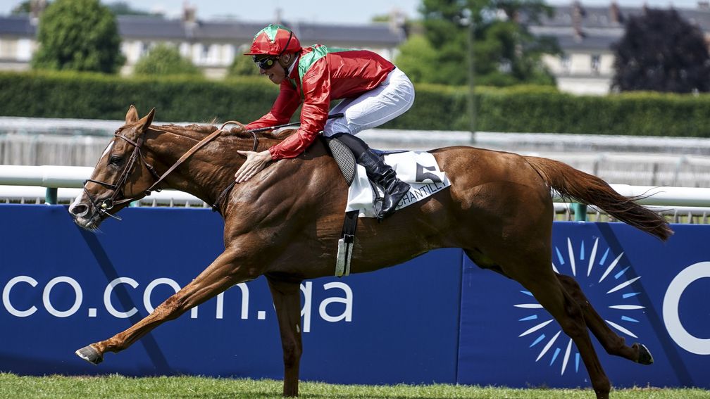 Waldgeist: has won three of his four races this year