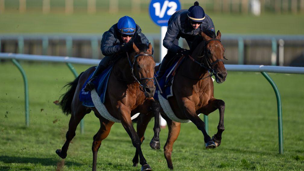 Arabian Crown (William Buick, left) powers past King Of Conquest (James Doyle) towards the end of a racecourse gallop