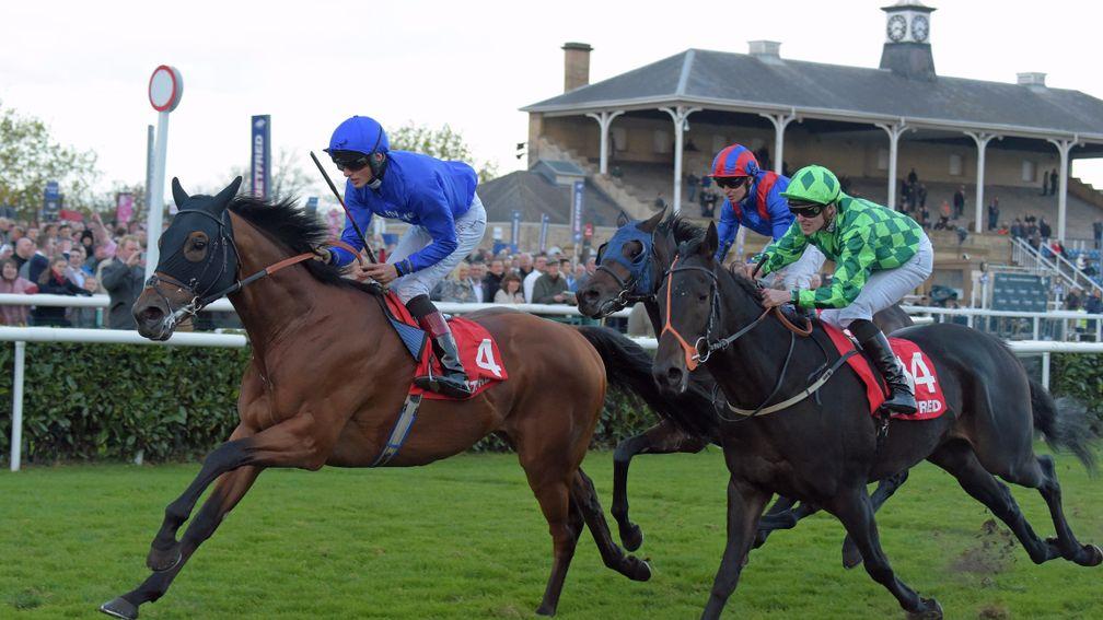 Who will follow last year's winner Prize Money in winning the Betfred November Handicap at Doncaster today?