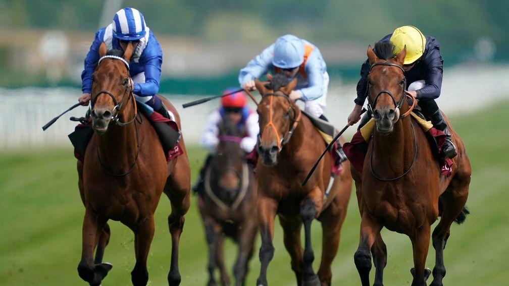 Crystal Ocean (right) is too good for his rivals at Newbury