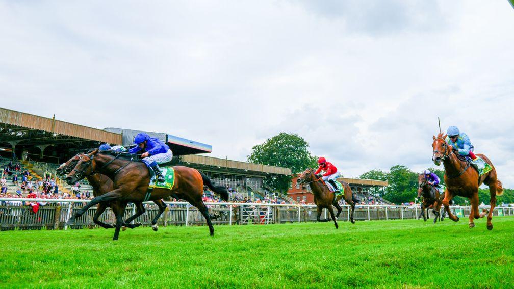 Dhabab (light blue, right) bids to enhance Native Trail's form in Saturday's Mill Reef Stakes
