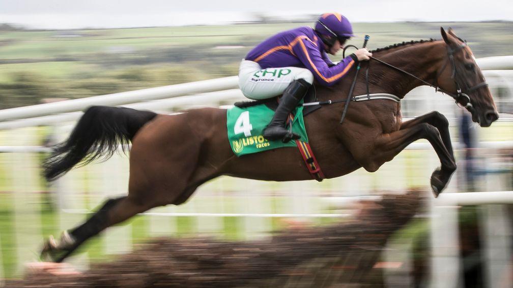 Wicklow Brave: bids for career win number 15