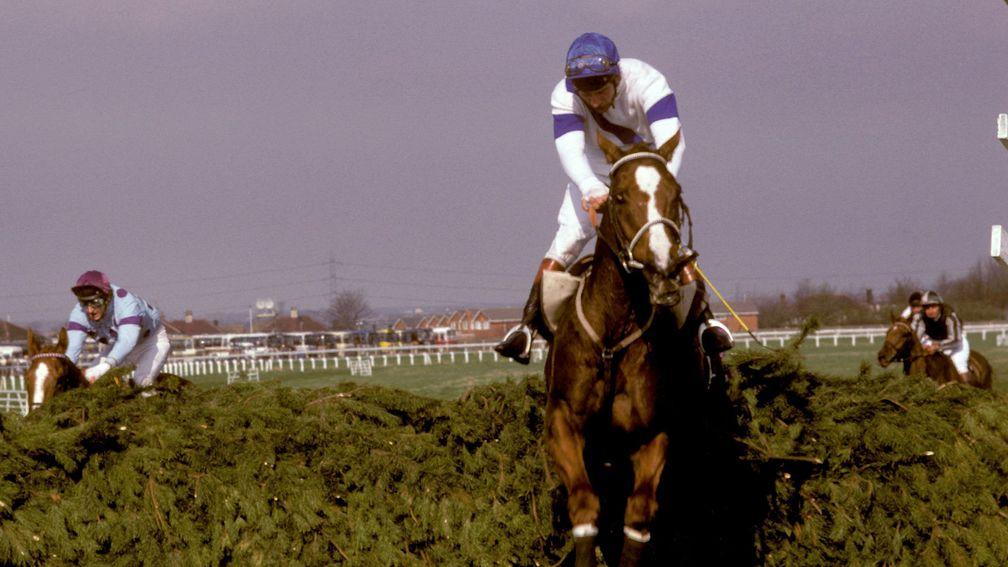 Aldaniti and Bob Champion clear the last in the 1981 Grand National