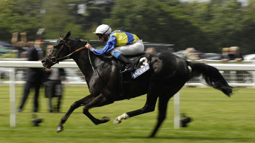 Manduro at the peak of his powers, winning the Prince of Wales's Stakes
