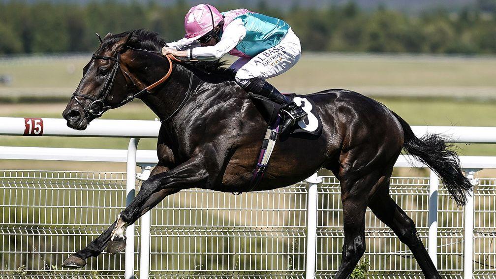 Handsome performance: Mirage Dancer strides clear of his rivals to win the Glorious Stakes