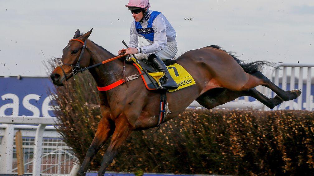 Waiting Patiently: Cheltenham comes too soon for him after Ascot exertions