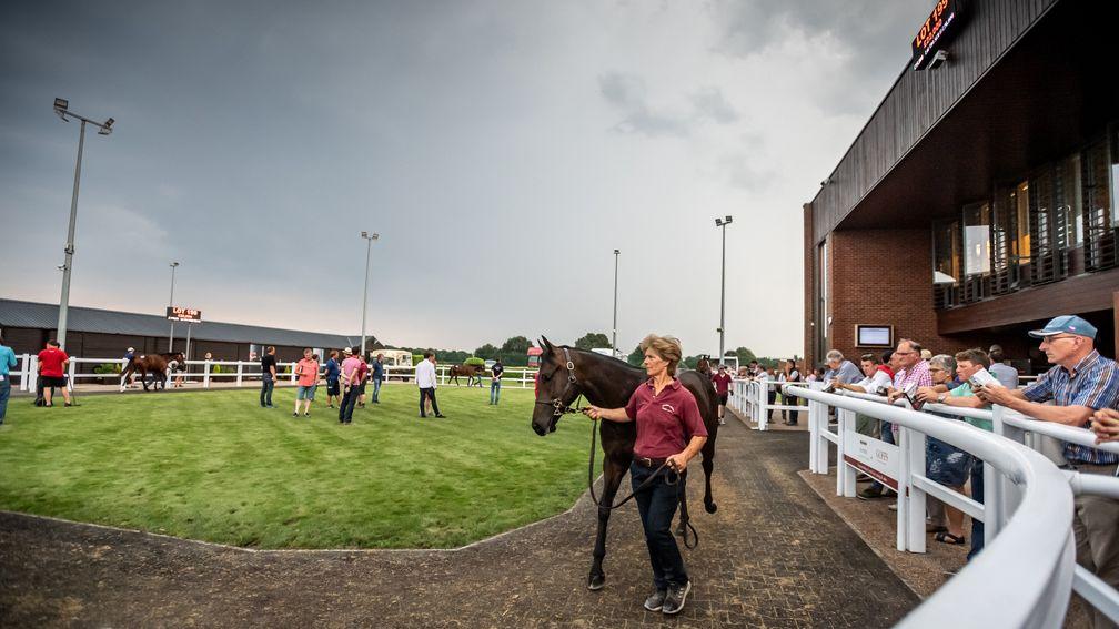 Stormy skies over the Doncaster ring during the Premier Yearling Sale
