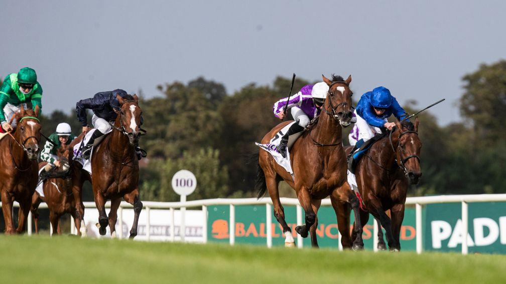 The Irish Champion Stakes was a wonderful result for the Tote Ten To Follow's longtime leader