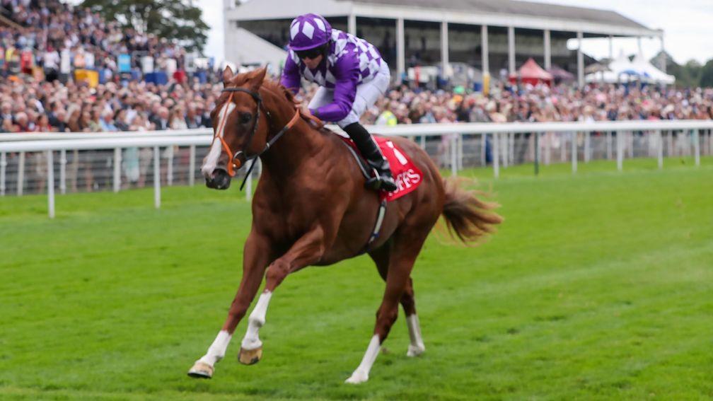 Mums Tipple: last ran over a mile in the 2,000 Guineas in June