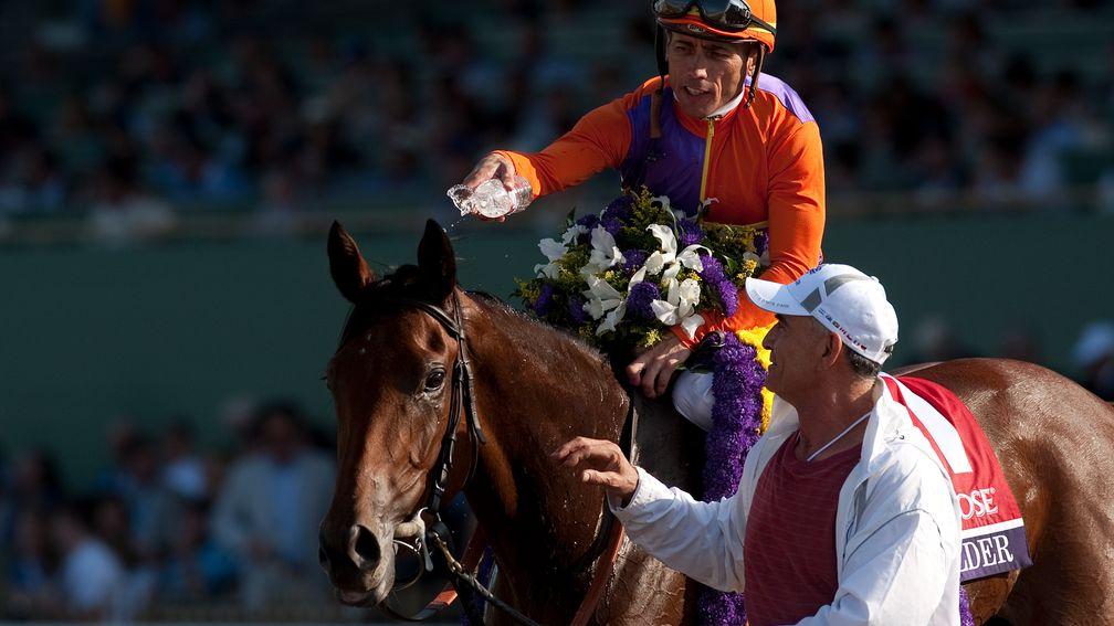 Beholder after her first Breeders' Cup win at Santa Anita in 2012