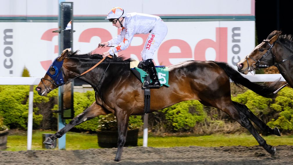 Gronkowski: heads to the US after Kempton win