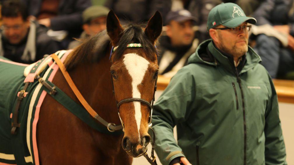 Top lot: Juddmonte jewel Time Saver in the Tattersalls ring