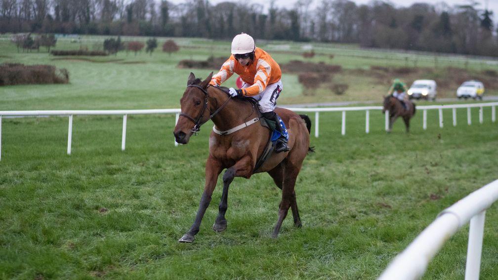 Blue Sari: one of just two bumper winners for Willie Mullins in the last three months