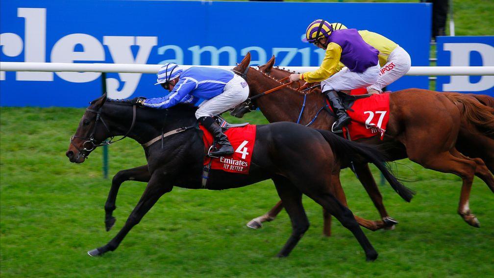 Stratum edges out Party Playboy (purple) in the Cesarewitch