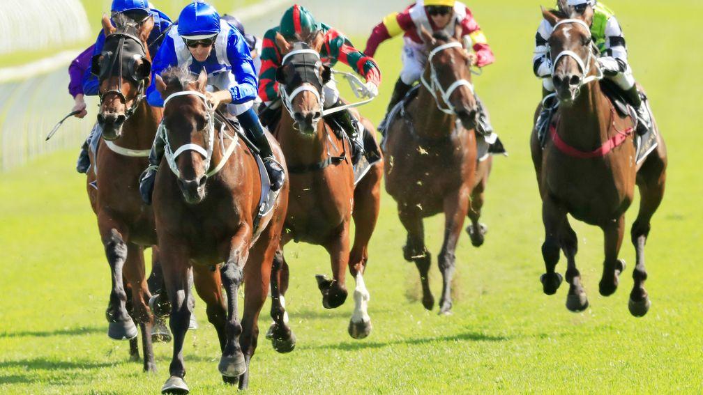 Winx makes it 30 wins in a row